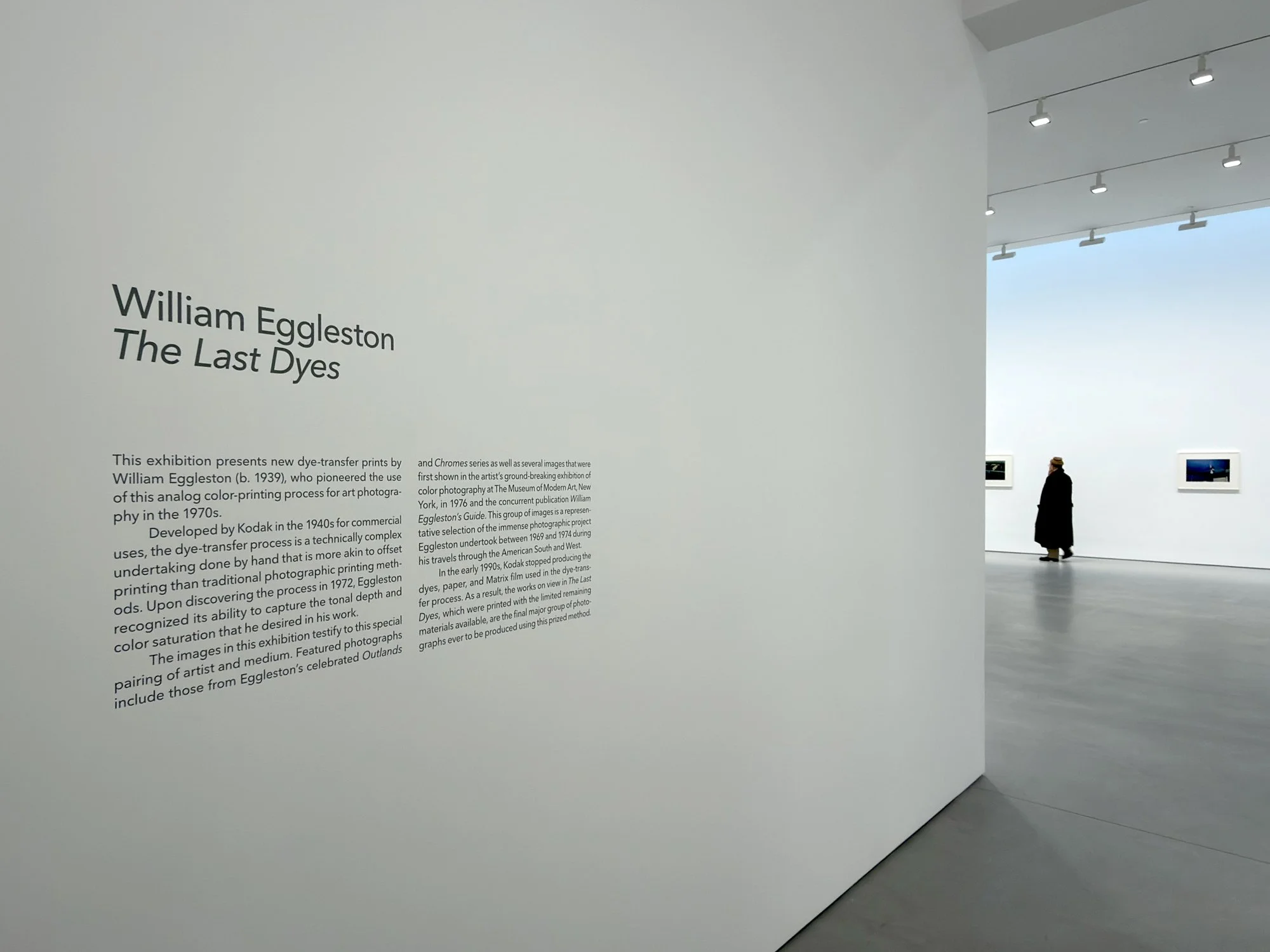 What Eggleston Left In Me: A Psychoanalyst's Perspective — Musée